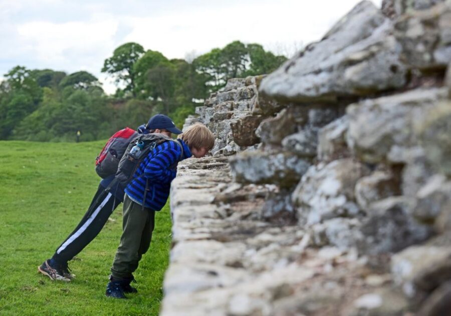 Hadrian's Wall: Birdoswald Roman Fort Entry Ticket - Key highlights worth planning for