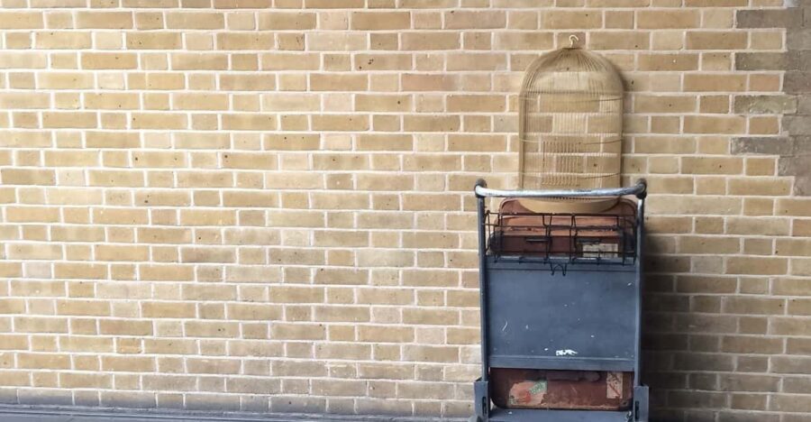 Harry Potter Private Tour of London in Spanish - Key things to know before you go