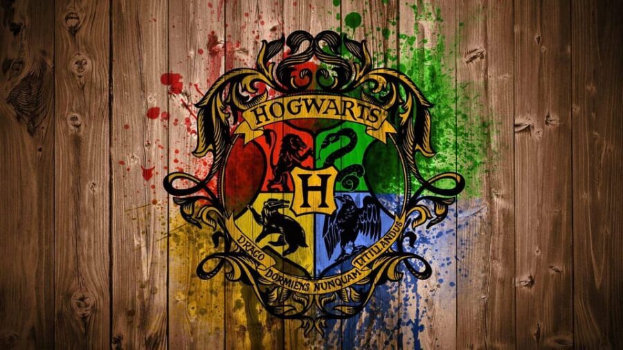 Harry Potter Private Tour of London in Spanish - The Spanish Guide, Interactive Spell Moments, and the Fun Factor