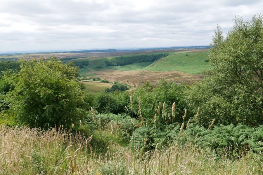 Heartbeat TV Locations Tour of Yorkshire - Aidensfield Village Walk: From Show Streets to Harry Potter’s Hogsmeade
