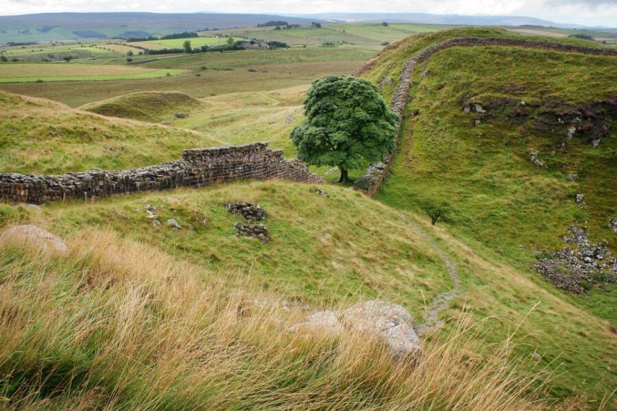 Hexham: Hadrian's Wall and The Romans Full Day Guided Tour - Key highlights you’ll actually feel during the day