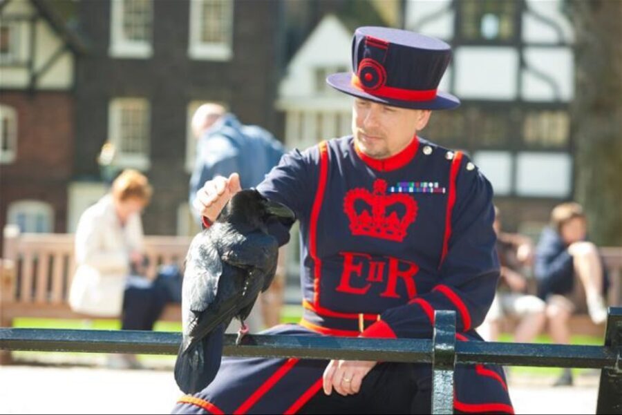 Hop on Hop off London Bus Tour & Tower of London - Hop-on hop-off routes: Red, Blue, and Orange with 60+ stops