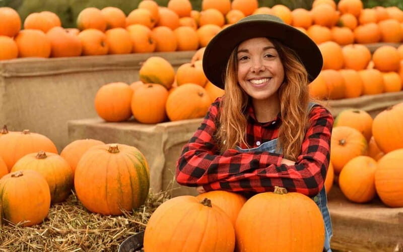 Hounslow: Pumpkin Patch Plus Entry to Hobbledown Heath - Key things to know before you go