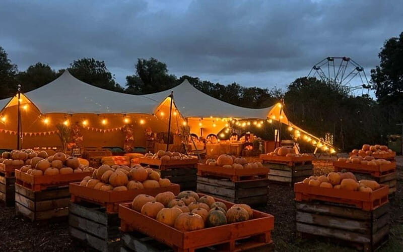 Hounslow: Pumpkin Patch Plus Entry to Hobbledown Heath - Towers, Tunnels, and the “Let Them Work It Out” Play Style