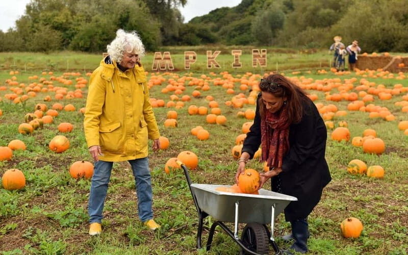 Hounslow: Pumpkin Patch Plus Entry to Hobbledown Heath - The Indoor Play Arena for London Weather Backup