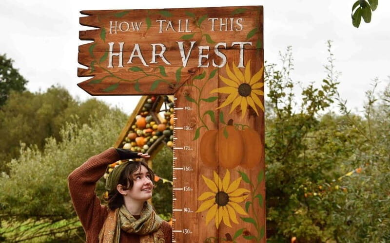 Hounslow: Pumpkin Patch Plus Entry to Hobbledown Heath - Farm Animals Up Close: More Than a Side Attraction