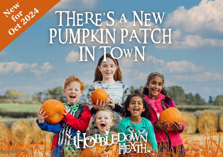 Hounslow: Pumpkin Patch Plus Entry to Hobbledown Heath - Logistics That Matter: Admissions Booth and Getting Your Bearings