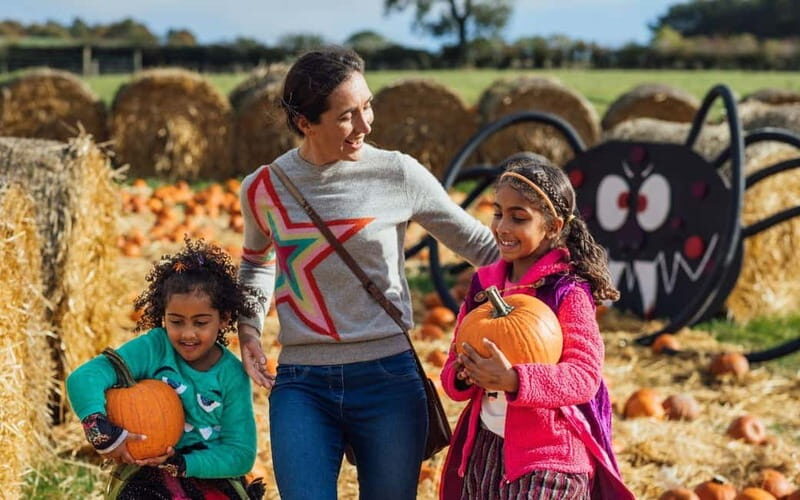 Hounslow: Pumpkin Patch Plus Entry to Hobbledown Heath - Four Themed Villages in Woodland and Meadow Space