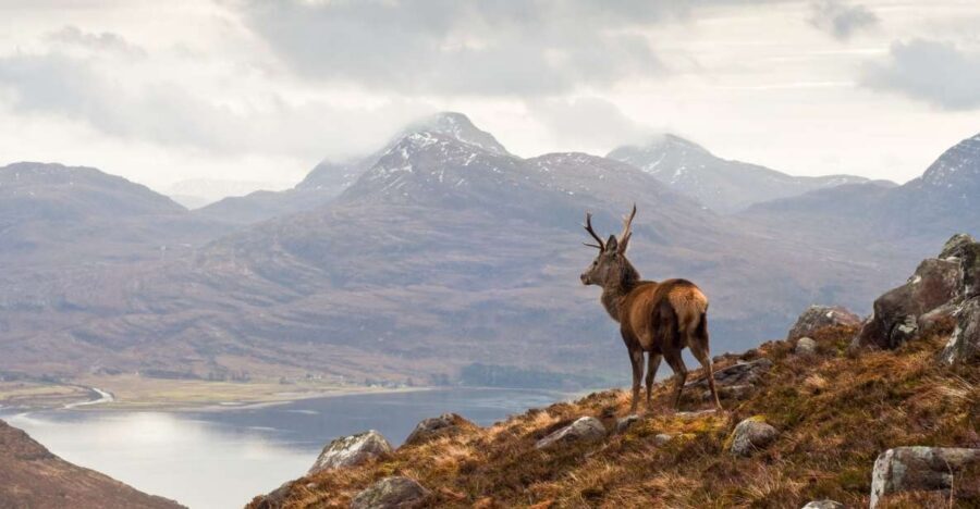 Inverness: Applecross, Loch Carron & Wild Highlands Day Tour - Why Inverness to Applecross by bus is such a smart move