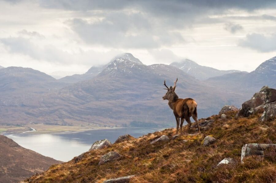 Inverness: Applecross, Loch Carron & Wild Highlands Day Tour - The return route: Cuaig Croft photo stop, Shieldaig breaks, and Kinlochewe pause