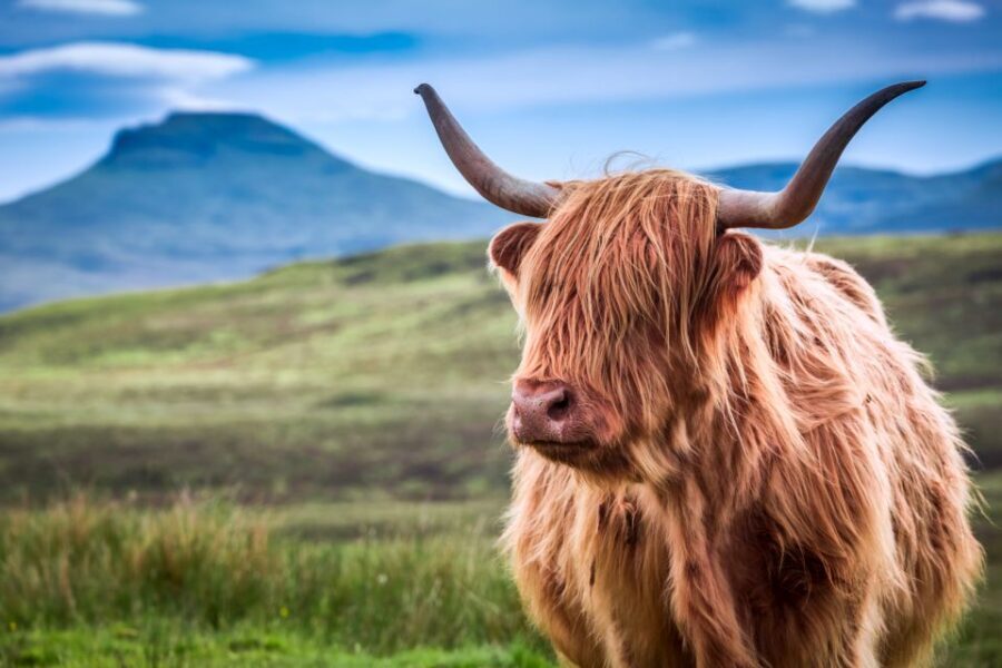 Inverness: Isle of Skye and Eilean Donan Castle Day Trip - Lealt Falls and the gorge walk: where water does the talking