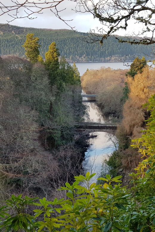 Inverness: Private Secret Hike to the Shores of Loch Ness - From Wade Road to Foyers: Caledonian pines and a big waterfall moment