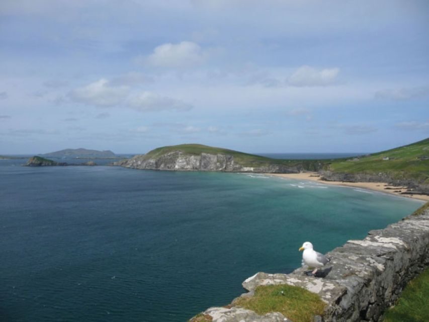 Ireland's North Atlantic Coast 5-Day Tour from Dublin - Westport to Connemara (Day 4): Kylemore Abbey or National Park, Plus Clifden