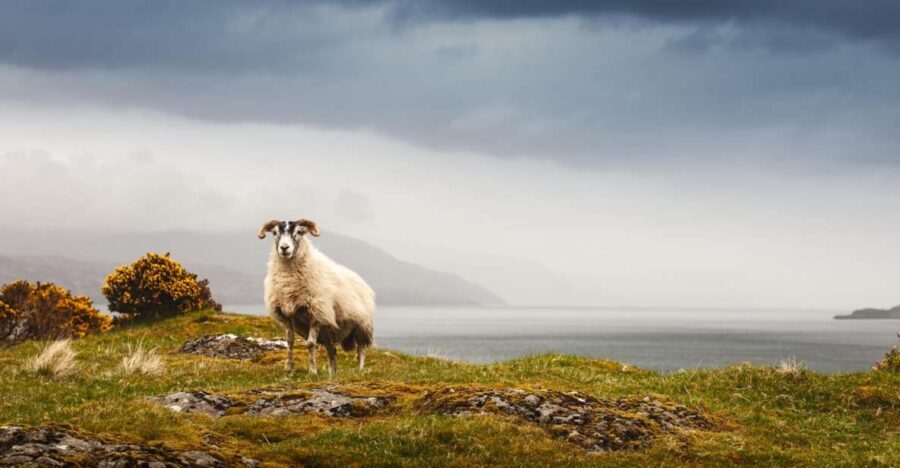 Isle of Mull and Iona 3-Day Small-Group Tour from Glasgow - Day 3: Oban seafood, Kilmartin Glen’s monuments, and Inveraray’s Loch Fyne views