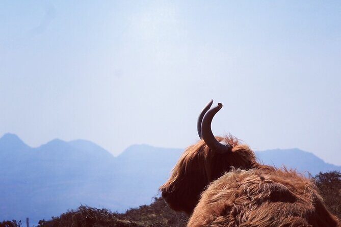 Isle of Skye and Fairy Pools Day Tour leaving from Portree - Key highlights you’ll care about