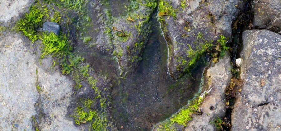 Isle of Skye Driving Tour from Portree with an APP - Quiraing and Fairy Glen: otherworldly walking, your pace
