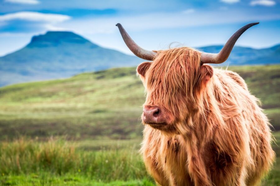 Isle of Skye & The Highlands: 3-Day Guided Tour from Glasgow - Culloden Battlefield and Pitlochry: history and a Victorian reset
