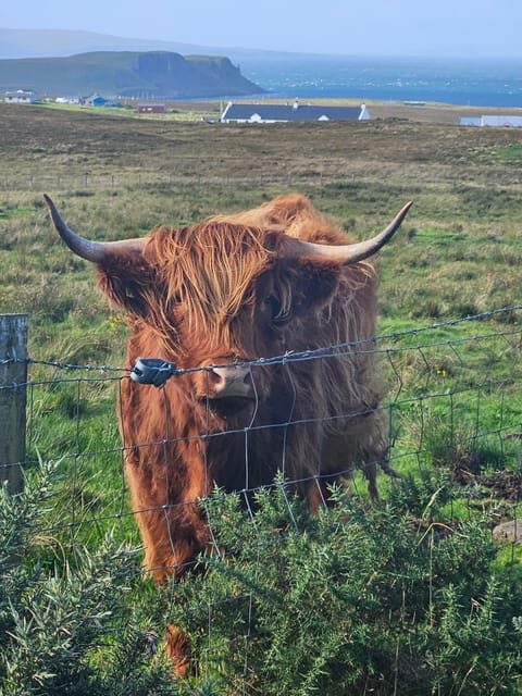Isle of Skye: Tour the highlights and hidden beauties. - The guide factor: Duncan and other local storytellers who make Skye feel personal