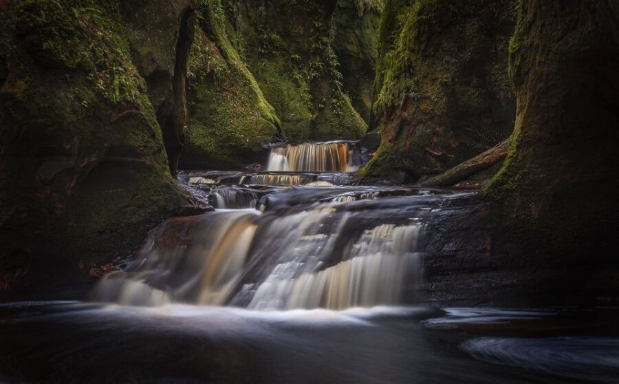 Join the Dark Side of Magical Nature - Key things to know before you go