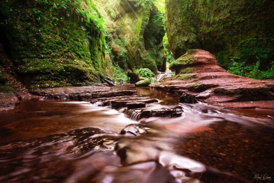 Join the Dark Side of Magical Nature - From Glasgow pickup to a forest that changes after dark