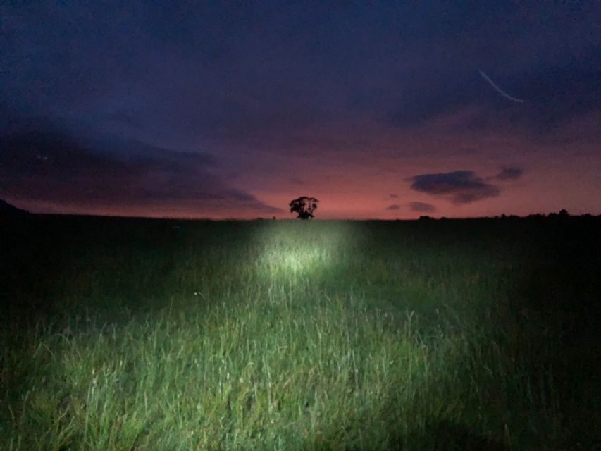 Join the Dark Side of Magical Nature - Return to Glasgow: a short night drive that closes the loop