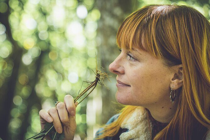 Learn to forage in Llangollen - Key highlights you’ll care about