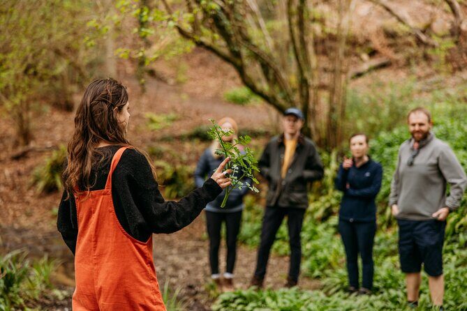 Learn to forage in Llangollen - Why the Llangollen Canal is ideal for learning plant ID