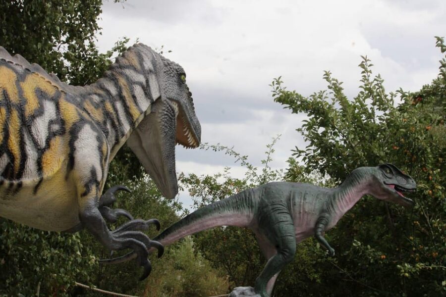Lincolnshire: ARK Wildlife and Dinosaur Park Entry Ticket - Macaque Manor and the park’s primate variety
