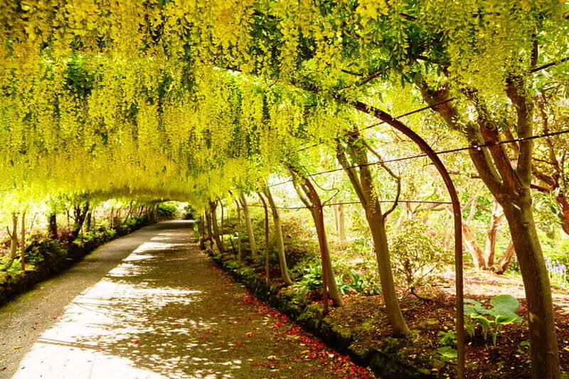 Llandudno: Snowdonia Bodnant Gardens & Castles Private Tour - Llandudno start: Victorian bay views and a plan that keeps you moving