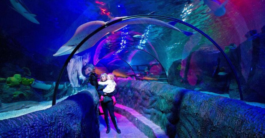 Loch Lomond: Sea Life Entrance Ticket - Key highlights I’d aim for