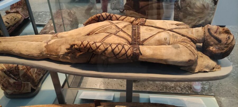 London: British Museum Private Tour for Kids & Families - Practical tips for a smoother 2.5-hour museum visit
