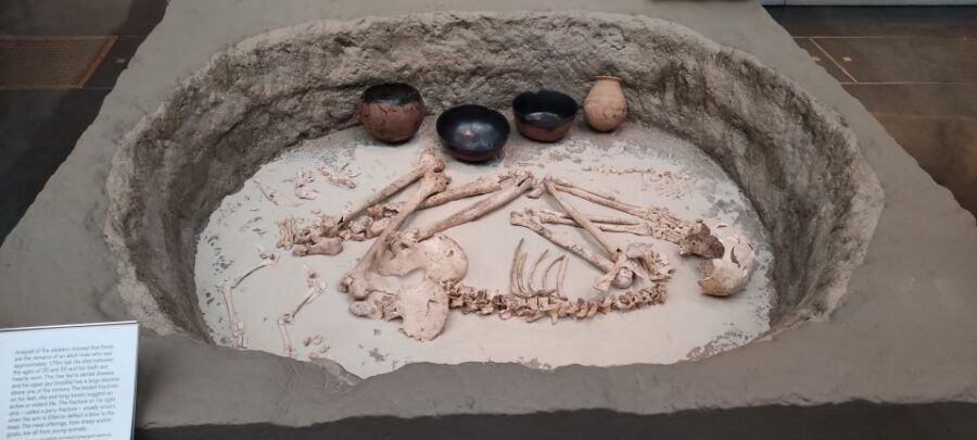 London: British Museum Private Tour for Kids & Families - Meeting at the main gate: get in without the hassle