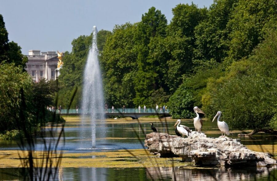 London: Buckingham Palace State Rooms & Royal Walking Tour - Timing, Crowds, and the Reality of a 3-Hour Day