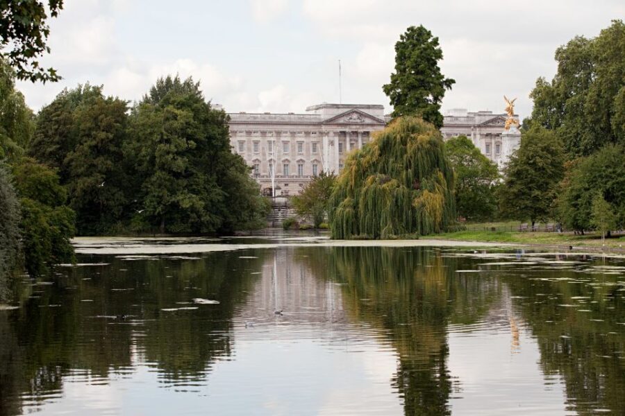 London: Buckingham Palace Ticket and Afternoon Tea Bus Tour - Who this Buckingham Palace + tea combo suits best