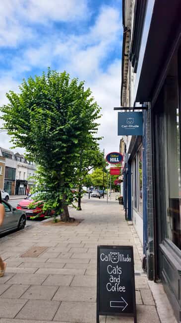 London Cat Cafe: Cat Lounge Entry Ticket - Included vs not included: plan your expectations (and your budget)