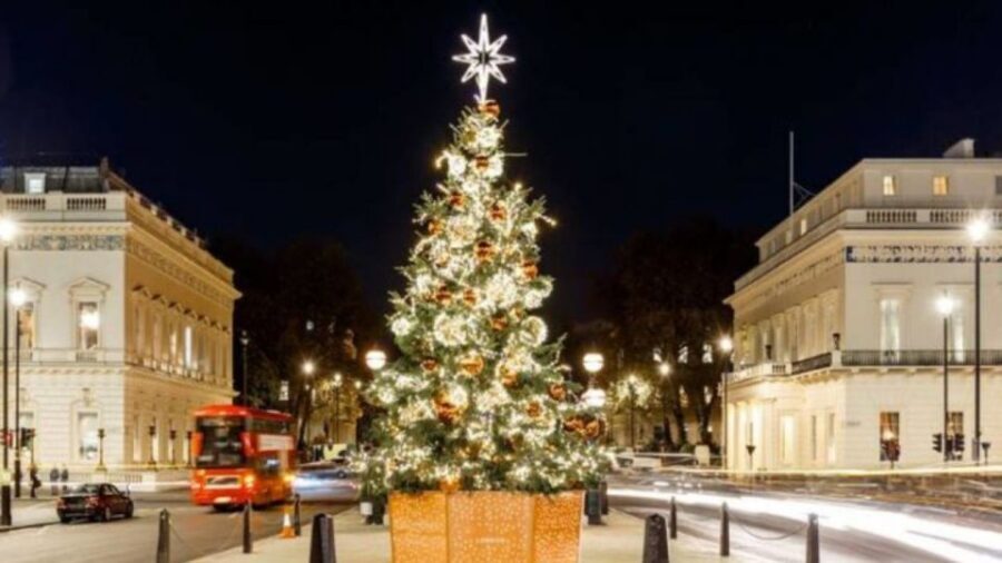 London: Christmas Lights Tour, Mince Pies, & Festive Drinks - The festive food and drink plan: what’s included and how it helps