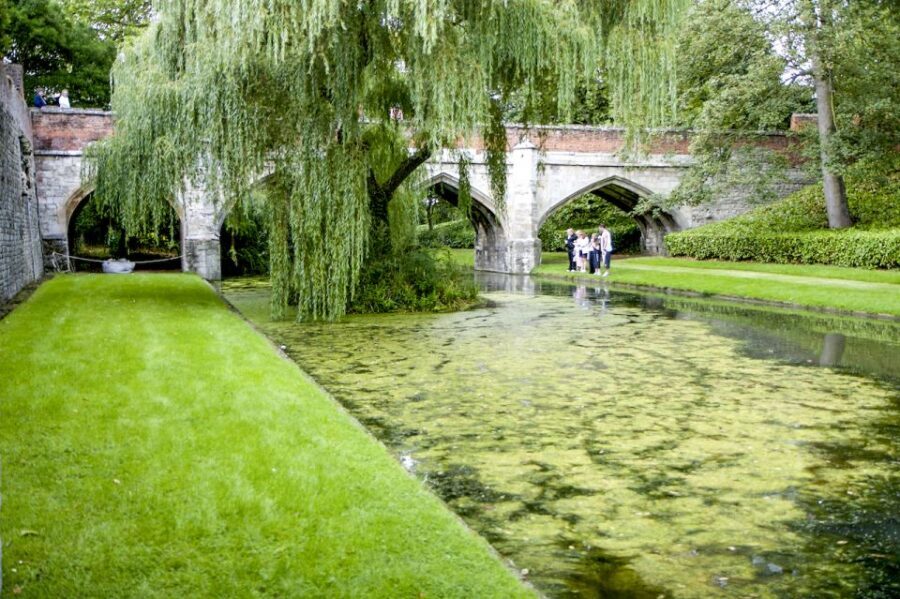 London: Entry Ticket to Eltham Palace and Gardens - Key things you’ll notice at Eltham Palace