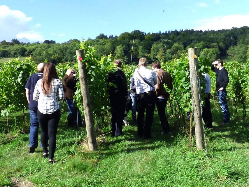 London: Full-Day English Wine Tour with Lunch - Should You Book This English Wine Tour?
