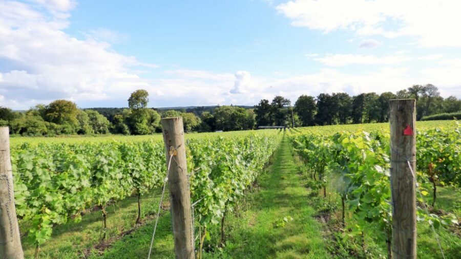 London: Full-Day English Wine Tour with Lunch - London Bridge Morning: Getting Out of the City Smoothly