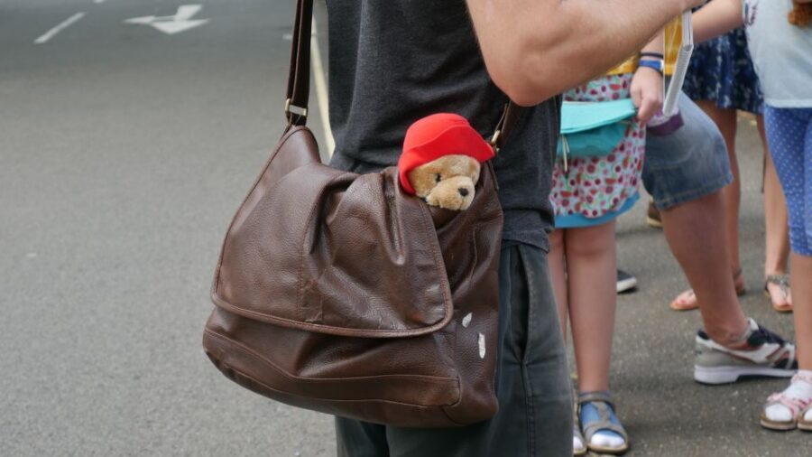 London: Guided Paddington Bear Walking Tour - Key highlights you’ll feel from step one