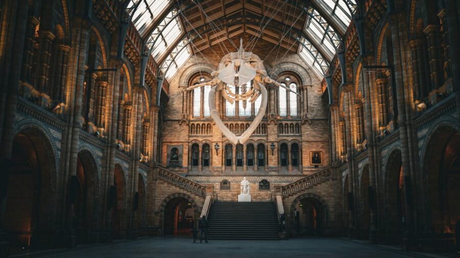 London: Guided Tour of the Natural History Museum - Entering the Natural History Museum: The Part That Sets the Tone