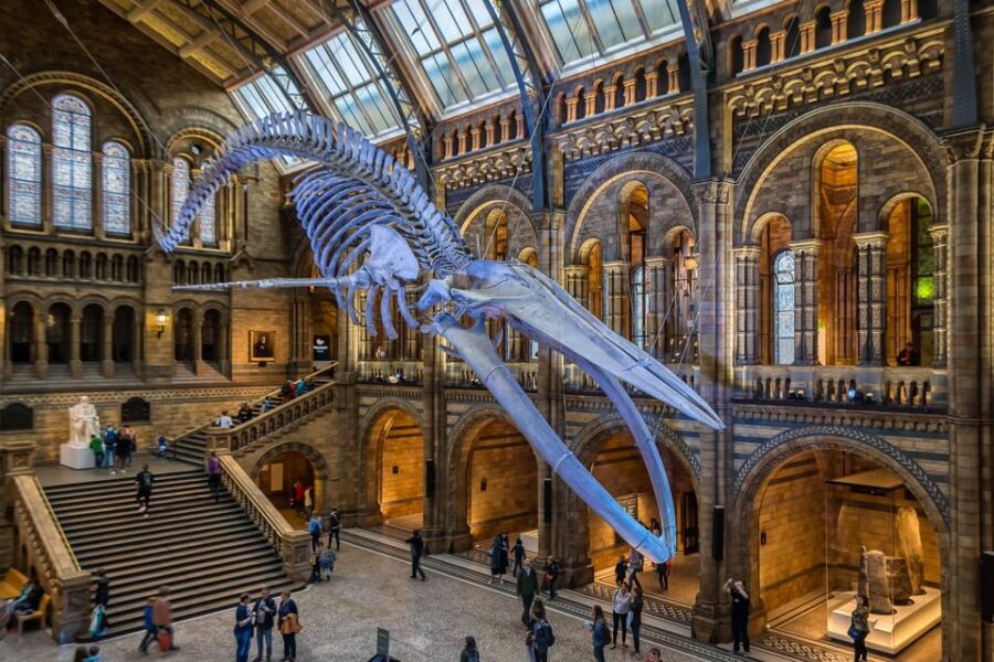 London: Guided Tour of the Natural History Museum - Bag Check to Dinosaur Gallery: Getting Oriented Without Feeling Rushed