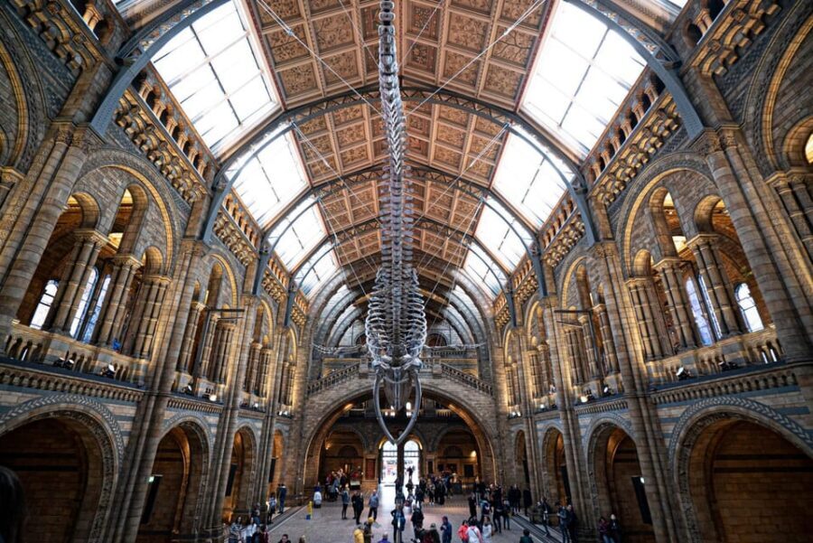 London: Guided Tour of the Natural History Museum - Finding the Guide at Cromwell Road (and Staying Calm if You’re Early)