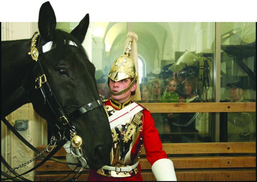 London: Household Cavalry Museum Entry Ticket - Practical tips for visiting from Whitehall