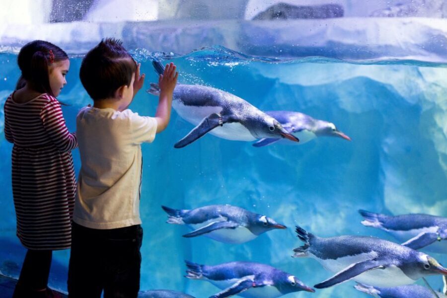 London: Madame Tussauds, London Eye & SEA LIFE Combo Ticket - Price and Value: What You’re Really Paying For