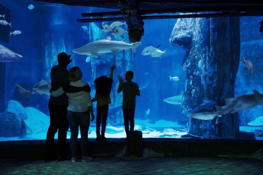 London: Madame Tussauds, London Eye & SEA LIFE Combo Ticket - Booking Strategy: How to Keep the 3 Attractions in Sync