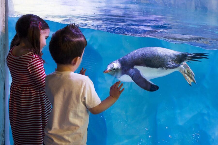 London: Madame Tussauds, SEA LIFE and London Dungeon Entry - A Three-Attraction London Day, Same Ticket