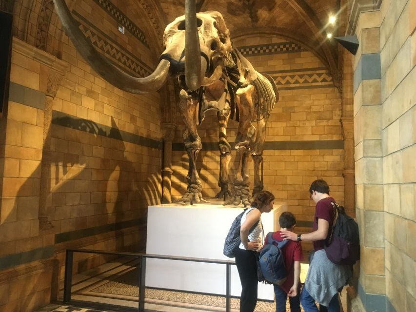 London: Natural History Museum Entry Ticket and Guided Tour - Why a guided tour is the smart way to see the Natural History Museum