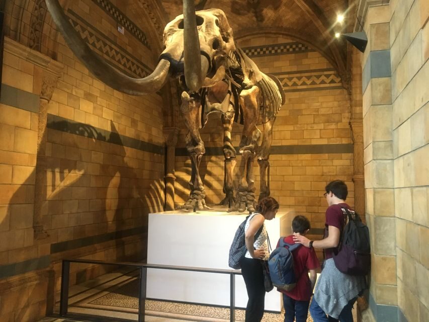 London: Natural History Museum Entry Ticket and Guided Tour - Central Hall and the dinosaur moment you came for