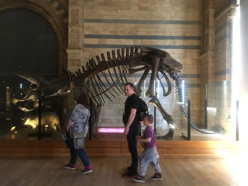 London: Natural History Museum Entry Ticket and Guided Tour - Wildlife Garden: a calmer pause with birds, bees, and more